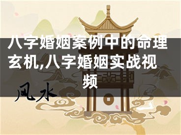 八字婚姻案例中的命理玄机,八字婚姻实战视频
