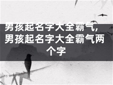 男孩起名字大全霸气,男孩起名字大全霸气两个字