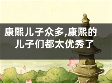 康熙儿子众多,康熙的儿子们都太优秀了