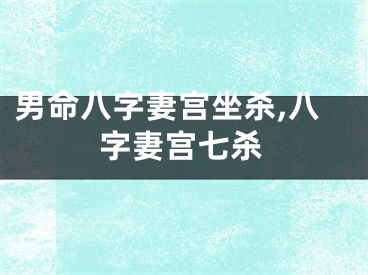 男命八字妻宫坐杀,八字妻宫七杀
