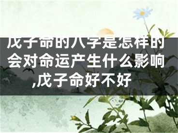 戊子命的八字是怎样的会对命运产生什么影响,戊子命好不好
