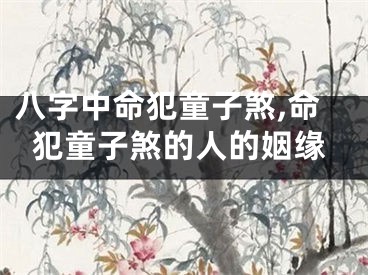 八字中命犯童子煞,命犯童子煞的人的姻缘