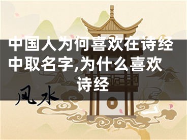 中国人为何喜欢在诗经中取名字,为什么喜欢诗经