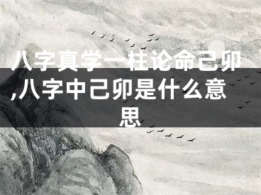 八字真学一柱论命己卯,八字中己卯是什么意思