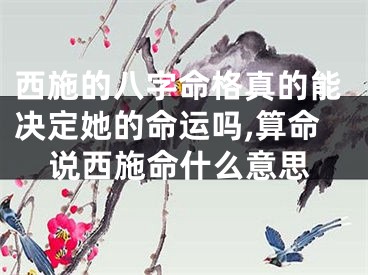 西施的八字命格真的能决定她的命运吗,算命说西施命什么意思