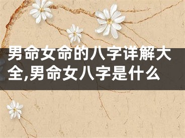 男命女命的八字详解大全,男命女八字是什么
