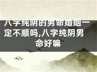 八字纯阴的男命婚姻一定不顺吗,八字纯阴男命好嘛