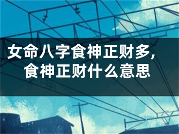 女命八字食神正财多,食神正财什么意思