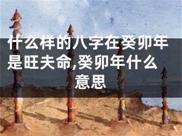 什么样的八字在癸卯年是旺夫命,癸卯年什么意思