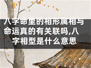 八字命里的相形属相与命运真的有关联吗,八字相型是什么意思