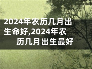 2024年农历几月出生命好,2024年农历几月出生最好