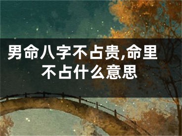 男命八字不占贵,命里不占什么意思