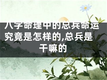 八字命理中的总兵命运究竟是怎样的,总兵是干嘛的