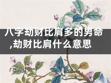 八字劫财比肩多的男命,劫财比肩什么意思