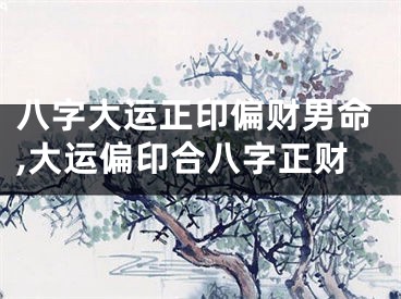八字大运正印偏财男命,大运偏印合八字正财