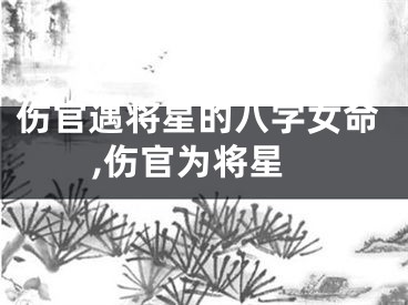 伤官遇将星的八字女命,伤官为将星