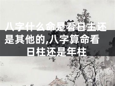 八字什么命是看日主还是其他的,八字算命看日柱还是年柱