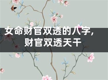 女命财官双透的八字,财官双透天干