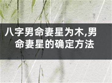 八字男命妻星为木,男命妻星的确定方法