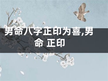 男命八字正印为喜,男命 正印