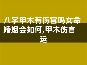 八字甲木有伤官吗女命婚姻会如何,甲木伤官运