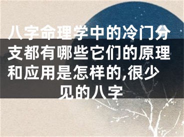 八字命理学中的冷门分支都有哪些它们的原理和应用是怎样的,很少见的八字