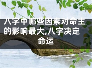 八字中哪些因素对命主的影响最大,八字决定命运