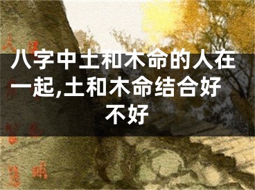 八字中土和木命的人在一起,土和木命结合好不好