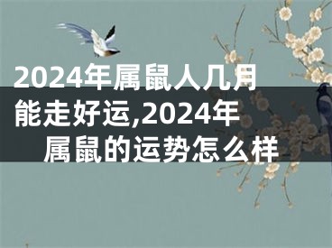 2024年属鼠人几月能走好运,2024年属鼠的运势怎么样
