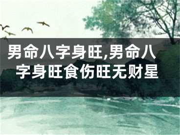 男命八字身旺,男命八字身旺食伤旺无财星