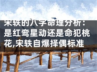 宋轶的八字命理分析：是红鸾星动还是命犯桃花,宋轶自爆择偶标准