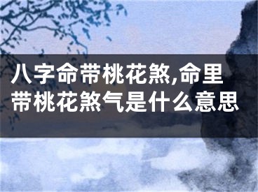 八字命带桃花煞,命里带桃花煞气是什么意思