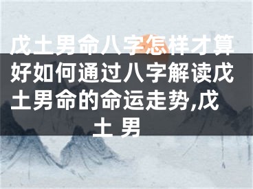 戊土男命八字怎样才算好如何通过八字解读戊土男命的命运走势,戊土 男