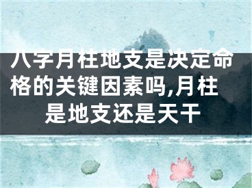 八字月柱地支是决定命格的关键因素吗,月柱是地支还是天干