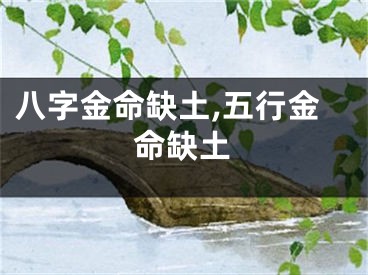 八字金命缺土,五行金命缺土