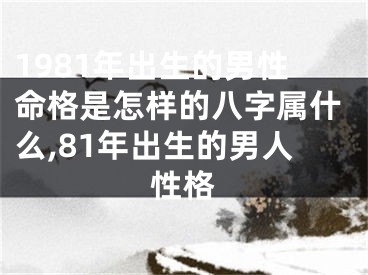 1981年出生的男性命格是怎样的八字属什么,81年出生的男人性格