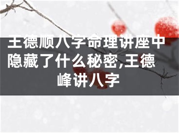 王德顺八字命理讲座中隐藏了什么秘密,王德峰讲八字
