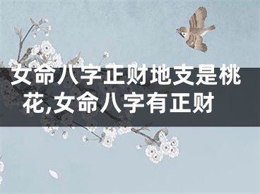 女命八字正财地支是桃花,女命八字有正财