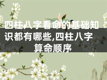 四柱八字看命的基础知识都有哪些,四柱八字算命顺序