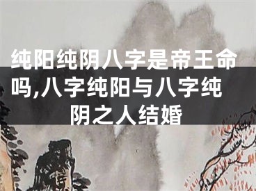 纯阳纯阴八字是帝王命吗,八字纯阳与八字纯阴之人结婚