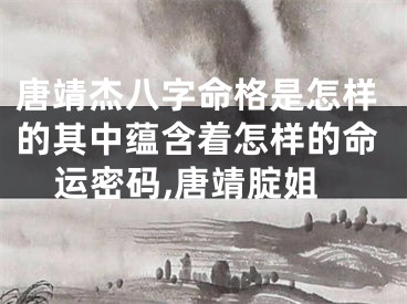 唐靖杰八字命格是怎样的其中蕴含着怎样的命运密码,唐靖腚姐