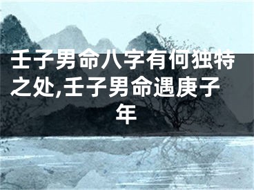 壬子男命八字有何独特之处,壬子男命遇庚子年