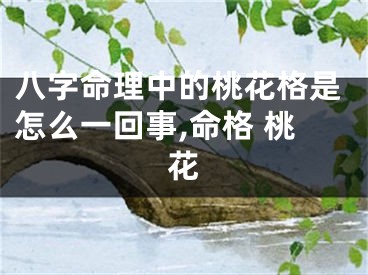 八字命理中的桃花格是怎么一回事,命格 桃花