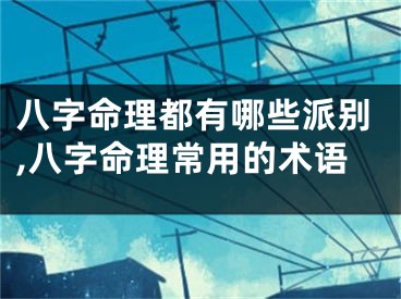 八字命理都有哪些派别,八字命理常用的术语