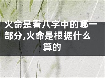 火命是看八字中的哪一部分,火命是根据什么算的