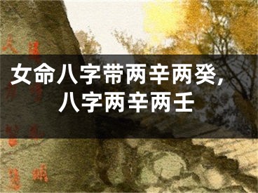 女命八字带两辛两癸,八字两辛两壬