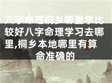 八字命理桐乡哪里学比较好八字命理学习去哪里,桐乡本地哪里有算命准确的