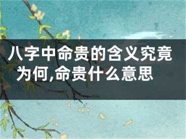 八字中命贵的含义究竟为何,命贵什么意思