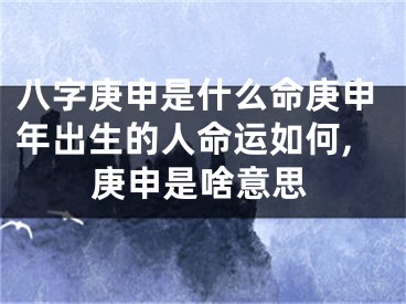 八字庚申是什么命庚申年出生的人命运如何,庚申是啥意思