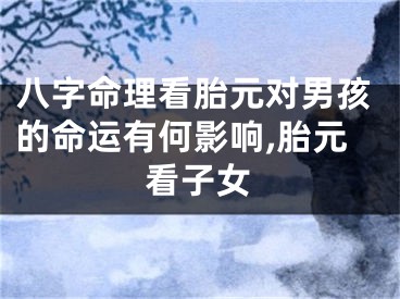 八字命理看胎元对男孩的命运有何影响,胎元看子女